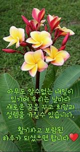 팜모닝 · 게시글 이미지