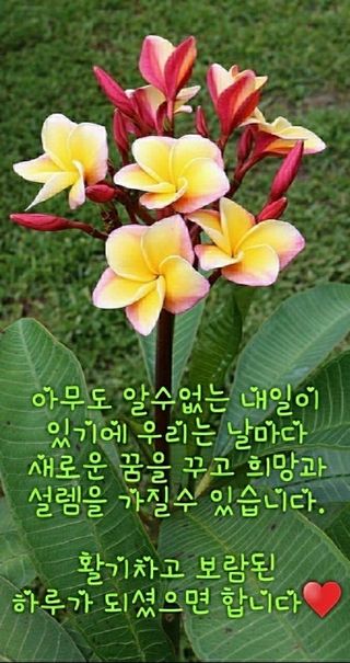 울금박사/빈덕열목사님의 작성글 사진