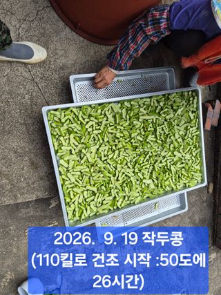 박성민님의 자유주제 · 자유게시판 작성글 사진