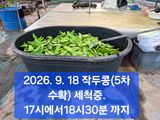 팜모닝 자유주제·자유게시판 게시글 이미지