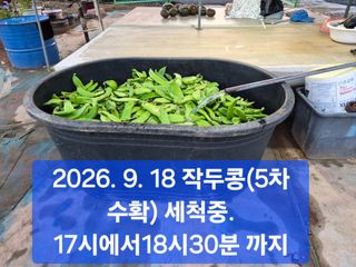 박성민님의 자유주제 · 자유게시판 작성글 사진