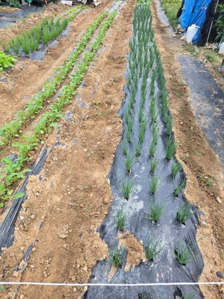 포도6841님의 자유주제 · 자유게시판 작성글 사진