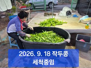 박성민님의 자유주제 · 자유게시판 작성글 사진
