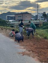 오작교농장님의 자유주제·자유게시판 작성글 사진