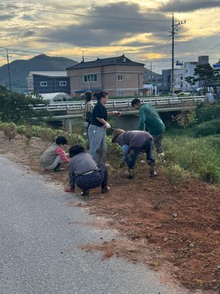 오작교농장님의 자유주제 · 자유게시판 작성글 사진