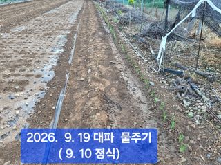 박성민님의 자유주제 · 자유게시판 작성글 사진