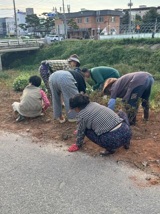 오작교농장님의 자유주제 · 자유게시판 작성글 사진