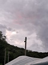 팜모닝 자유주제·자유게시판 게시글 이미지