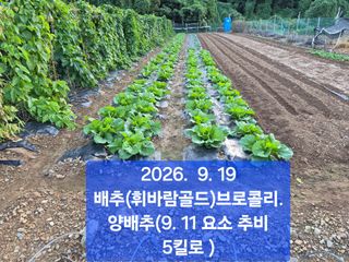 박성민님의 자유주제 · 자유게시판 작성글 사진
