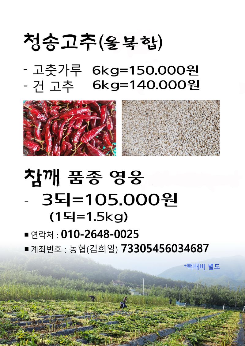 장터 상품 [청송의 맑은 바람이 빚은 노지 고춧가루 10근] 썸네일