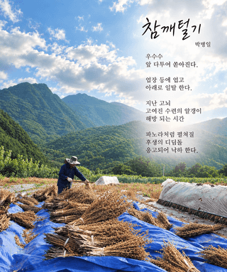 시인의농장님의 자유주제 · 자유게시판 작성글 사진