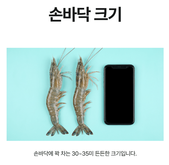 메종루엘님의 장터 판매 상품 [판매1위 활흰다리새우] 첨부 사진