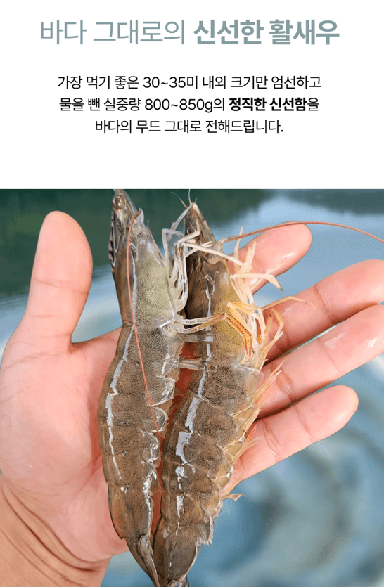 메종루엘님의 장터 판매 상품 [판매1위 활흰다리새우] 첨부 사진