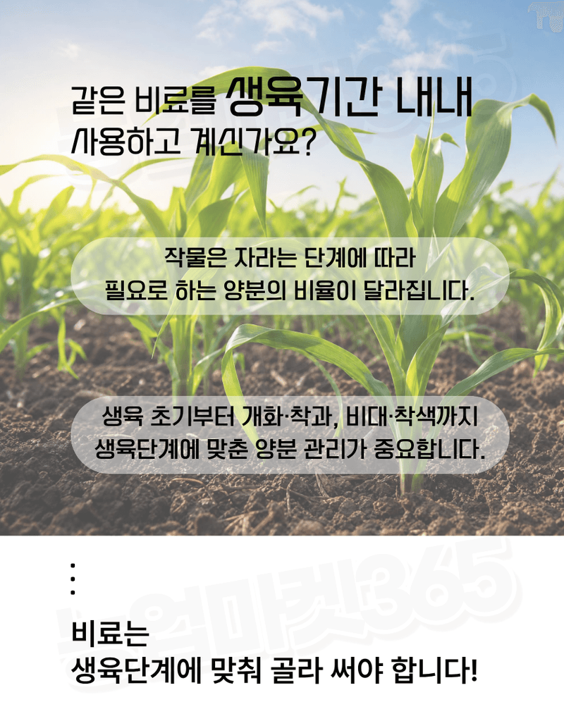 농업마켓365님의 장터 판매 상품 [하이폴리아 플러스 10kg 엽면시비 수용성비료 생육단계별비료 수입산 하이파케미칼 ] 첨부 사진