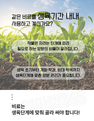 농업마켓365님의 작성글 사진