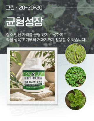 농업마켓365님의 작성글 사진