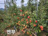 팜모닝 자유주제·자유게시판 게시글 이미지