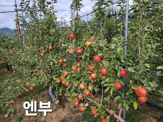 유혜영님의 자유주제 · 자유게시판 작성글 사진
