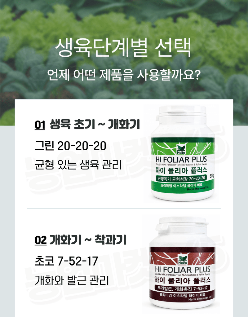 농업마켓365님의 장터 판매 상품 [하이폴리아 플러스 80g 엽면시비 수용성비료 생육단계별비료 수입산 하이파케미칼 ] 첨부 사진