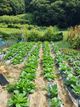 홈 갤러리 이미지
