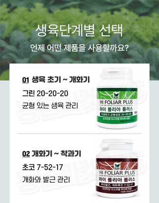 농업마켓365님의 작성글 사진