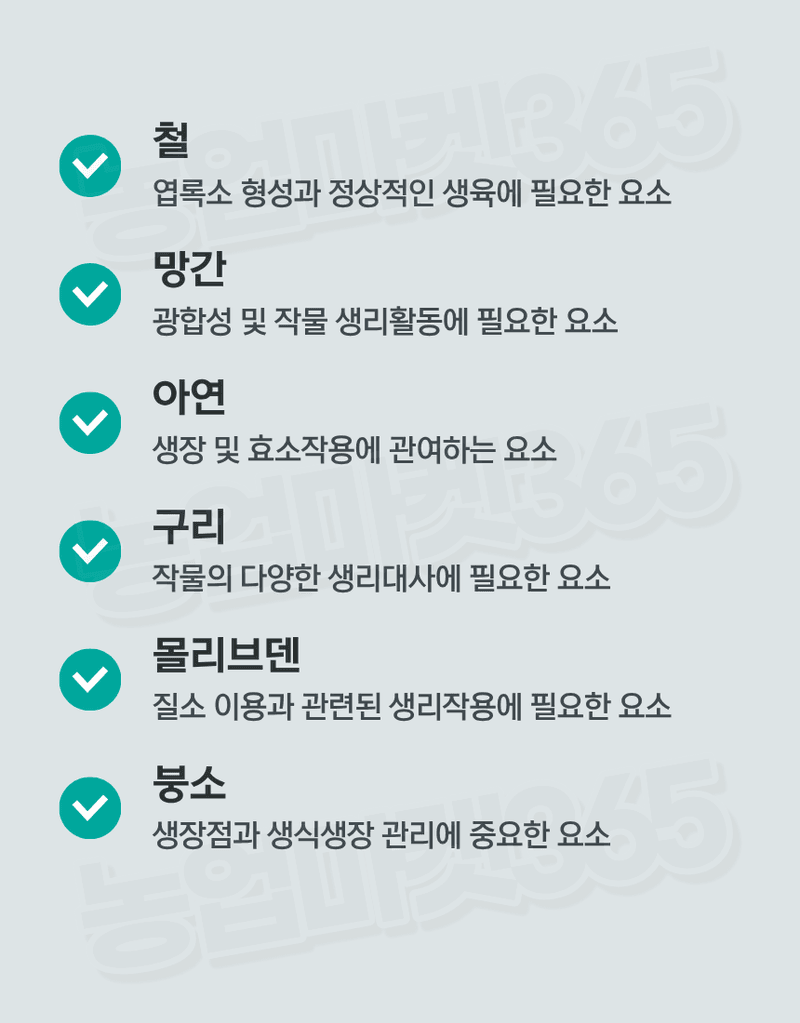 농업마켓365님의 장터 판매 상품 [하이폴리아 플러스 80g 엽면시비 수용성비료 생육단계별비료 수입산 하이파케미칼 ] 첨부 사진