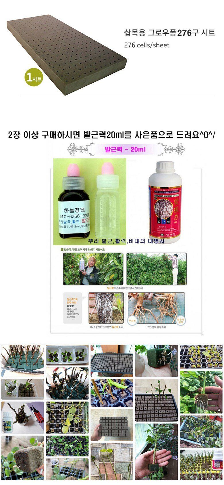오훈조님의 장터 판매 상품 [삽목용 오아시스 276구 20장 1박스] 첨부 사진