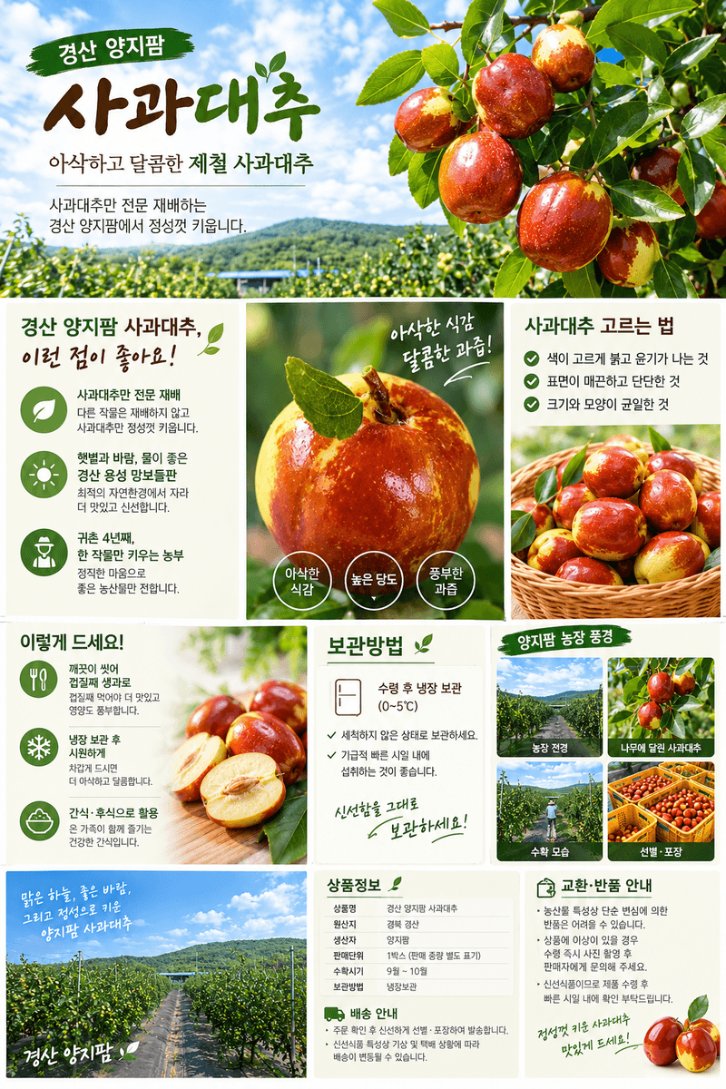 이동엽(양지팜)님의 장터 판매 상품 [대능 사과대추 1kg 500g 2팩] 첨부 사진