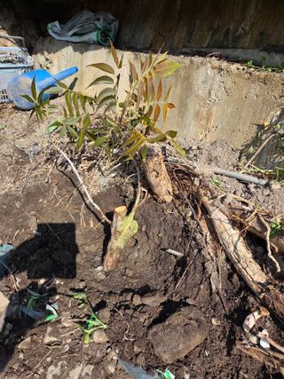 김용대님의 자유주제 · 자유게시판 작성글 사진