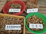 팜모닝 · 게시글 이미지
