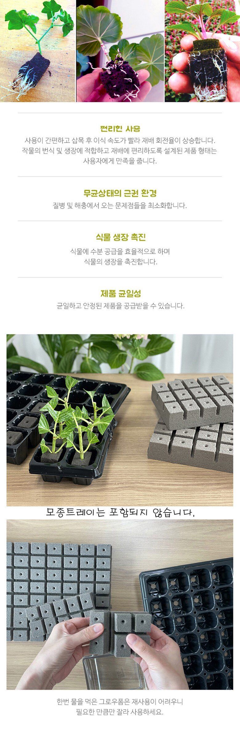 오훈조님의 장터 판매 상품 [삽목용 오아시스 276구 20장 1박스] 첨부 사진