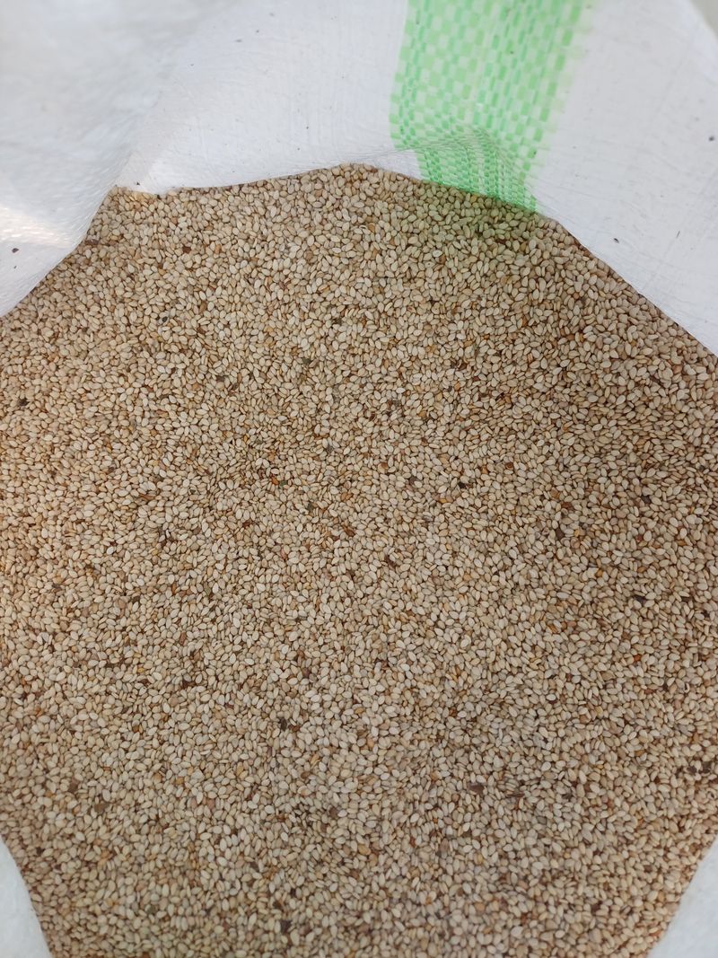 장터 상품 [참깨(가지깨)판매(1되1.2kg)] 썸네일