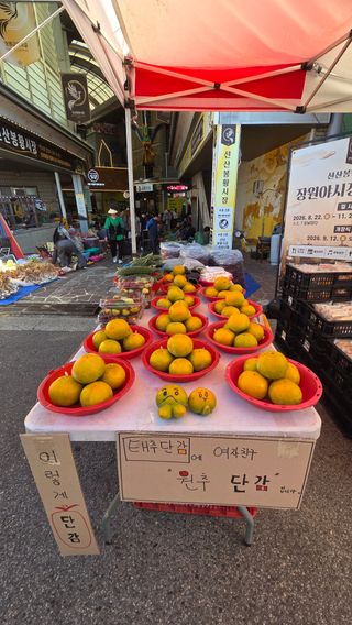 제키님의 자유주제 · 자유게시판 작성글 사진