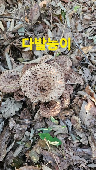 장철식님의 자유주제 · 자유게시판 작성글 사진