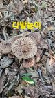 홈 갤러리 이미지