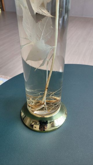 이정민님의 자유주제 · 사진전 작성글 사진