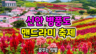 꿈꾸는텃밭님의 자유주제 · 자유게시판 작성글 사진