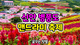 홈 갤러리 이미지