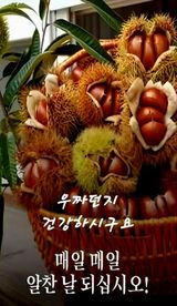 팜모닝 자유주제·자유게시판 게시글 이미지
