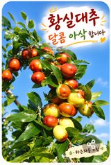 하은와송~♡♡♡~님의 자유주제·자유게시판 작성글 사진