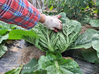 대학로님의 자유주제 · 자유게시판 작성글 사진