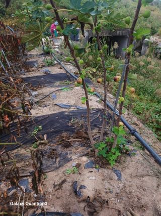 이창우님의 자유주제 · 자유게시판 작성글 사진