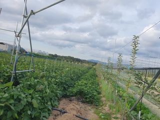 블루베리14534님의 자유주제 · 자유게시판 작성글 사진