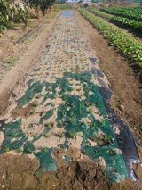 이용철님의 자유주제·자유게시판 작성글 사진