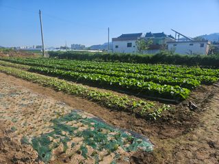 이용철님의 자유주제 · 자유게시판 작성글 사진