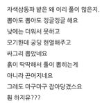 삼성농산님의 파·자유게시판 작성글 사진
