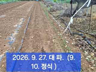 박성민님의 자유주제 · 자유게시판 작성글 사진