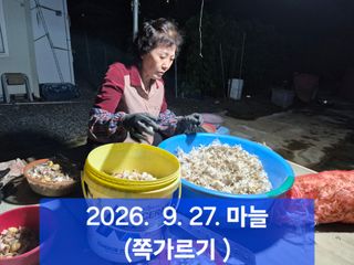 박성민님의 자유주제 · 자유게시판 작성글 사진