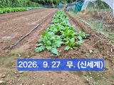 박성민님의 자유주제·자유게시판 작성글 사진