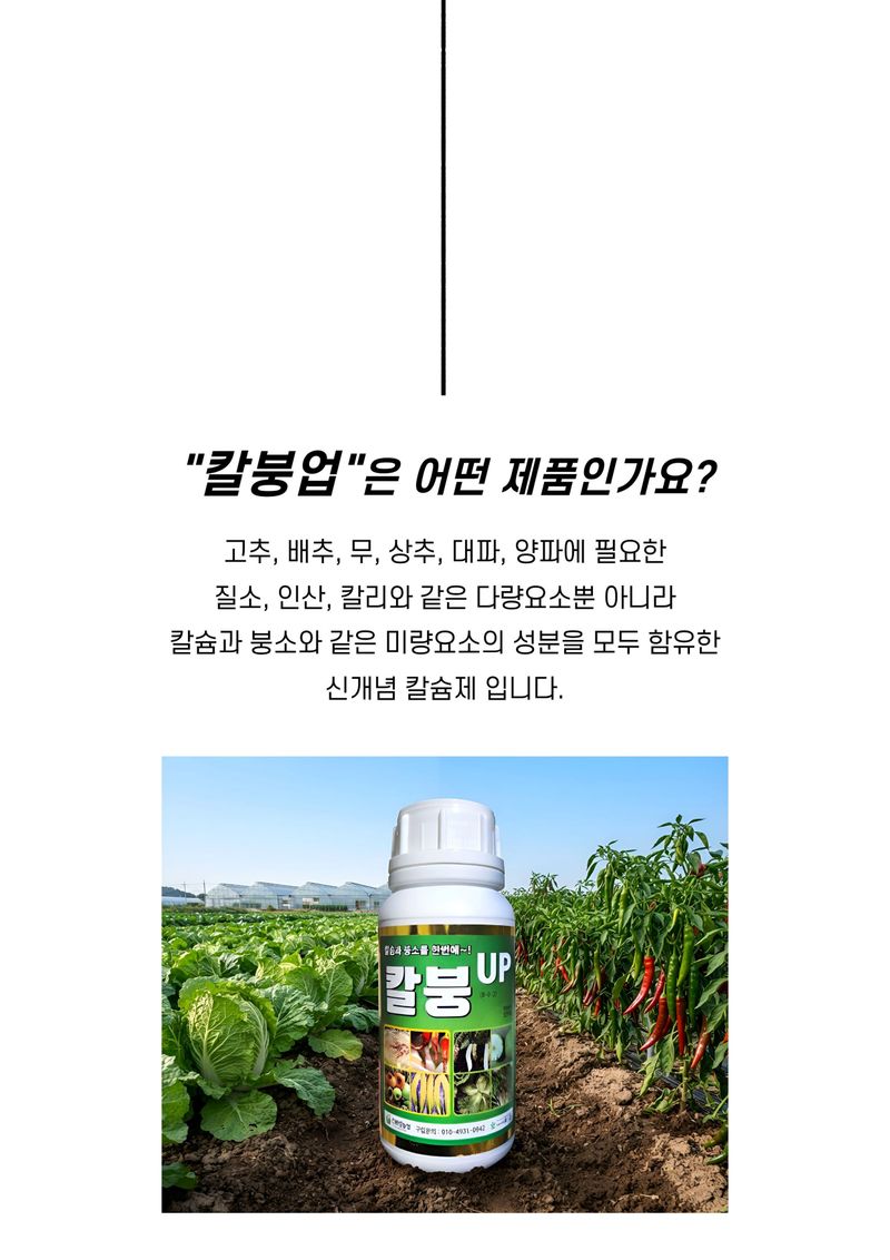 세종농자재센터님의 장터 판매 상품 [배추칼슘제 칼붕업500ml 김장 배추와 무에 꼭 필요한 칼슘 붕소 비료 ] 첨부 사진